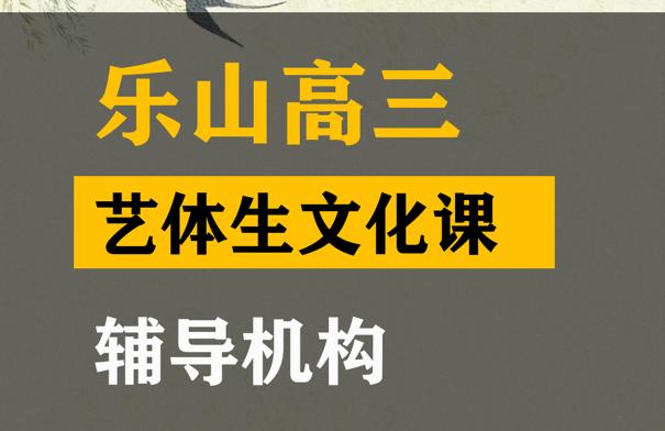 乐山艺体生文化课辅导机构,高三文化课提分学校