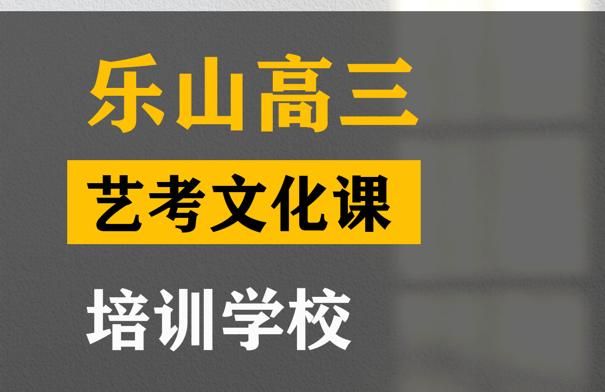 乐山美术生文化课辅导机构,高三艺考文化课培训班