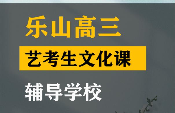 乐山美术生文化课补习学校,高三艺考生文化课辅导学校