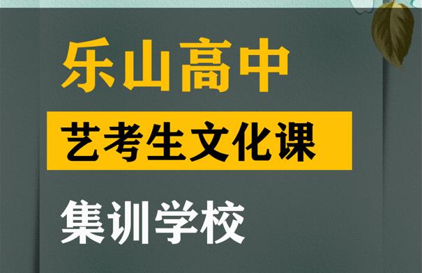 乐山传媒生文化课集训哪家好,高考文化课提分学校