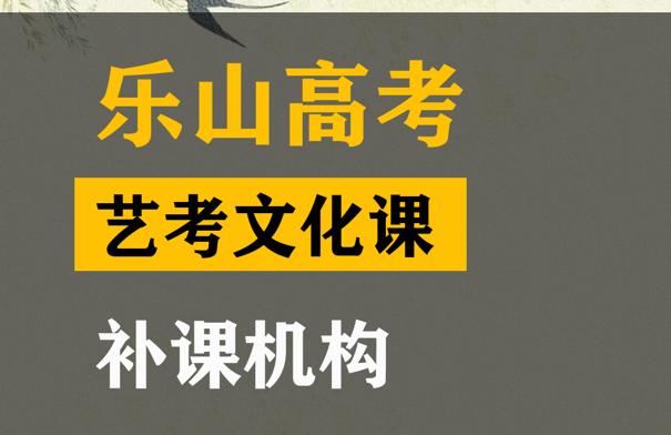 乐山体育生文化课辅导班,高考艺考文化课补习机构