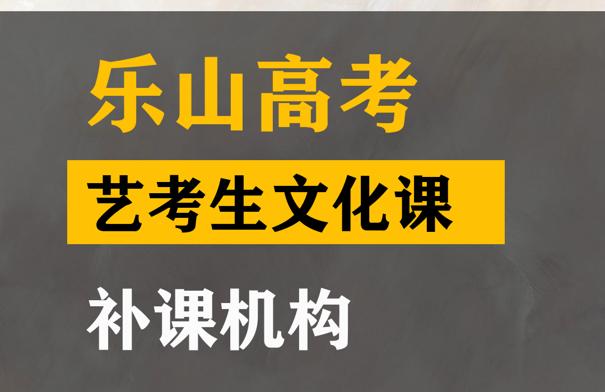 乐山艺考生文化课辅导班,高考文化课补课班