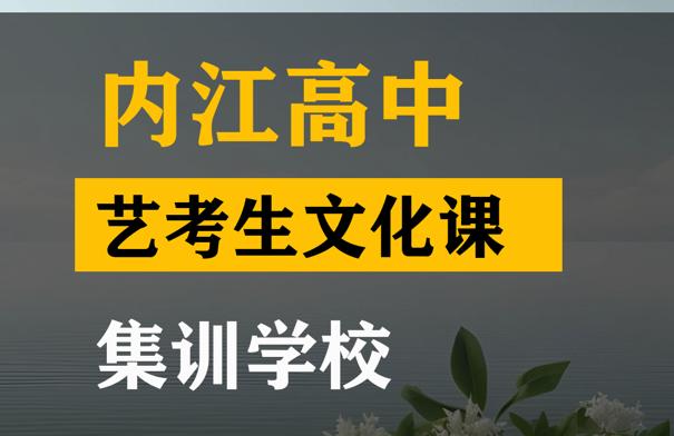 内江传媒生文化课集训学校,高中文化课冲刺班