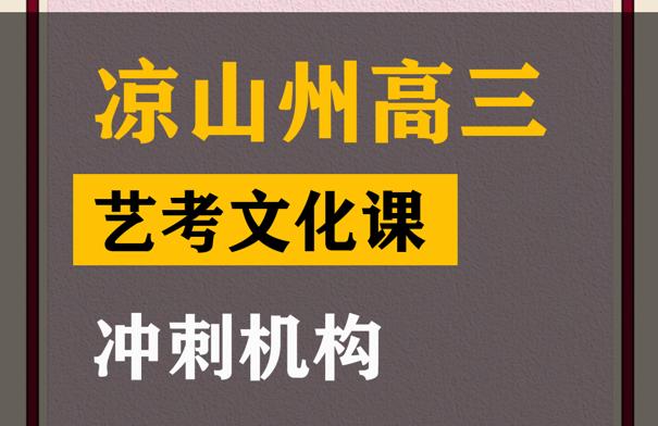 凉山艺术生文化课补习哪家好,高三艺考生文化课冲刺机构