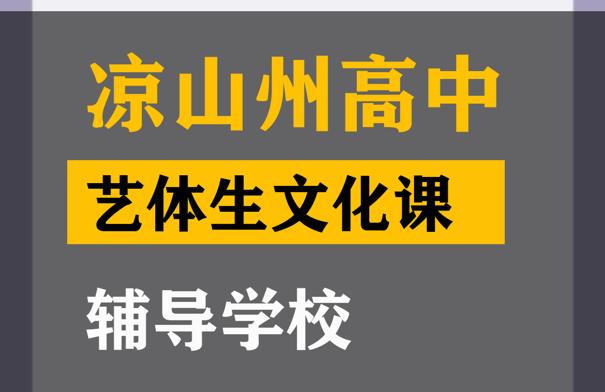 凉山艺体生文化课辅导学校,高中文化课补习班