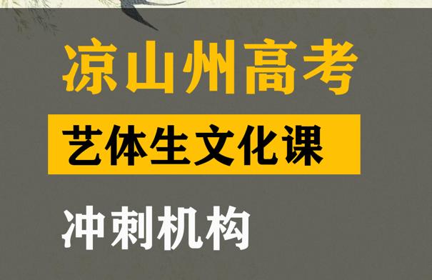 凉山艺考生文化课集训学校,高考艺术生文化课冲刺机构