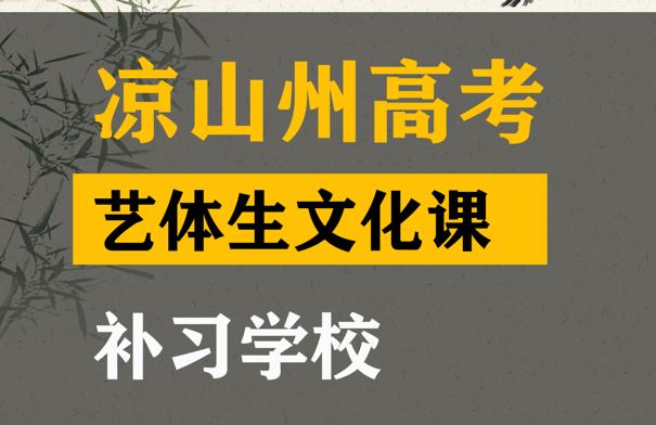 凉山艺体生文化课辅导怎么收费,高考文化课补习班