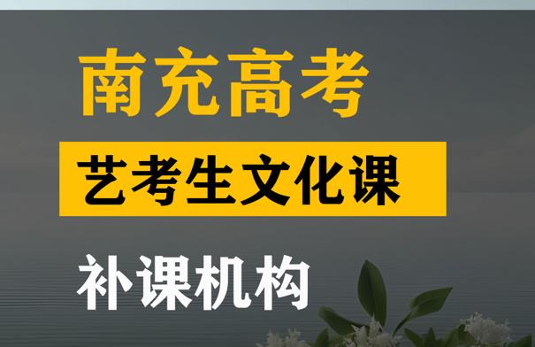 南充传媒生文化课补习机构,高考文化课提分机构