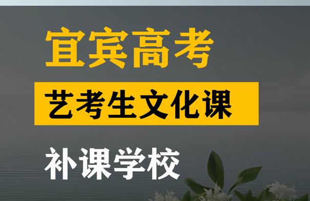 宜宾艺考2023文化分要求,高中文化课补课班