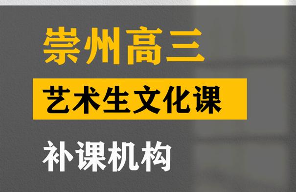 崇州市传媒生文化课培训班,高三艺术生文化课补课机构