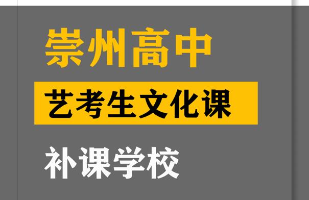 崇州市表演生文化课辅导学校,高中文化课补课学校