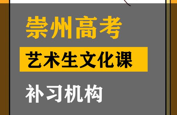 崇州市艺术生文化课培训机构,高中文化课补习机构