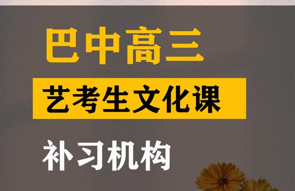 巴中艺考生文化课集训机构,高三艺考文化课补习机构