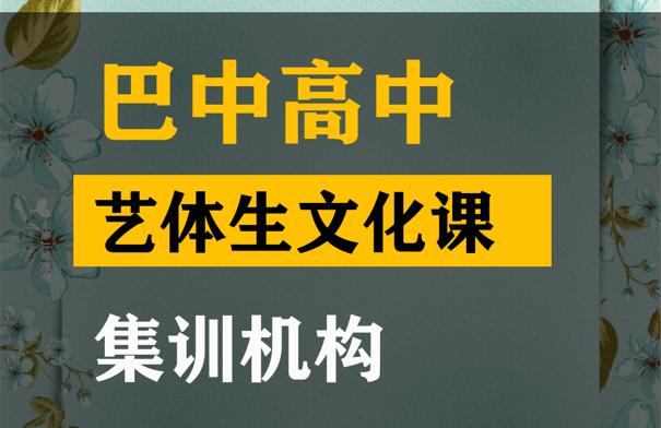 马尔康市表演生文化课集训中心,高中文化课集训机构