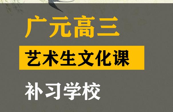 广元艺术生文化课集训怎么收费,高三艺术生文化课补习学校