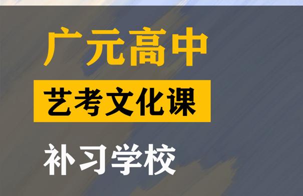 广元音乐生文化课培训哪家好,高考文化课补习学校