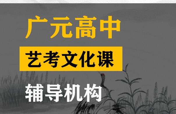 广元艺考生文化课培训班,高中艺考生文化课辅导机构