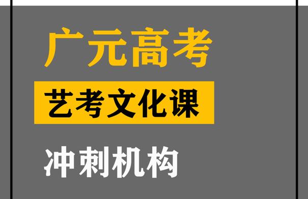 广元艺考生文化课冲刺机构,高中艺考文化课辅导班