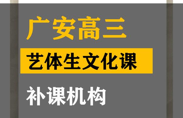 广安艺考生文化课培训哪家好,高三艺术生文化课补课班