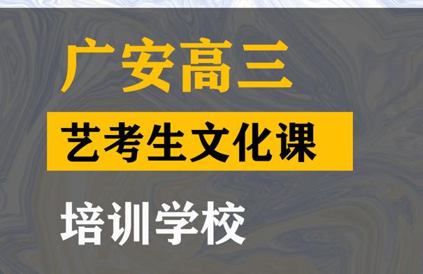 广安体育生文化课冲刺怎么收费,高三艺考文化课培训学校