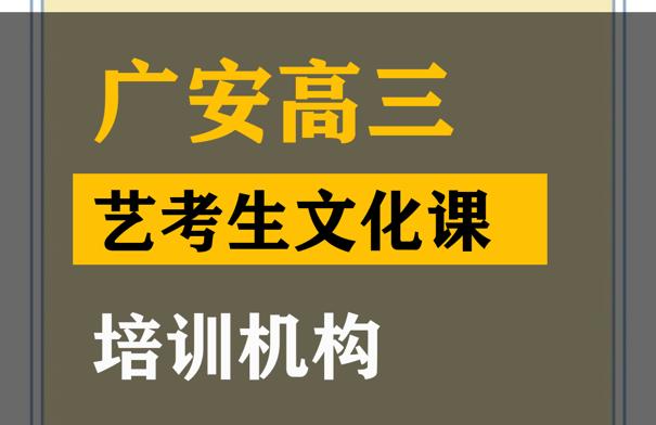 广安艺考生文化课集训机构,高三艺考文化课培训机构