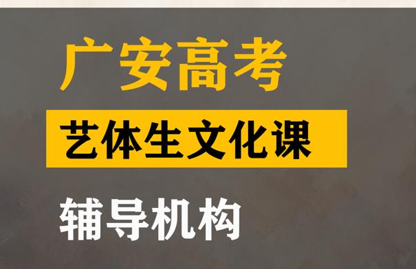 广汉市艺体生文化课辅导班,高三文化课补习机构