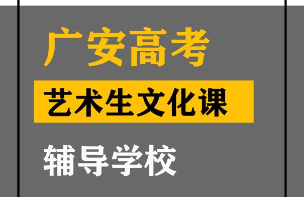 广安美术生文化课辅导哪家好,高中文化课提分学校