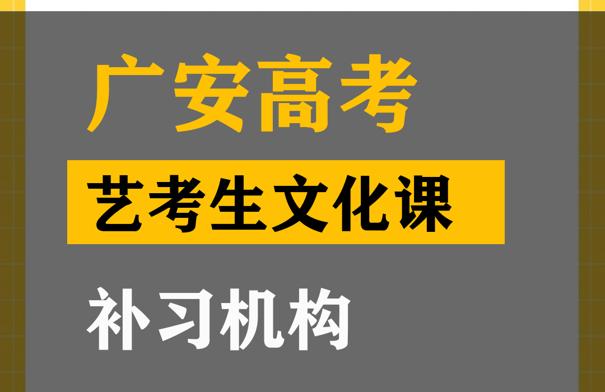 广汉市艺考生文化课补课中心,高三文化课补习班