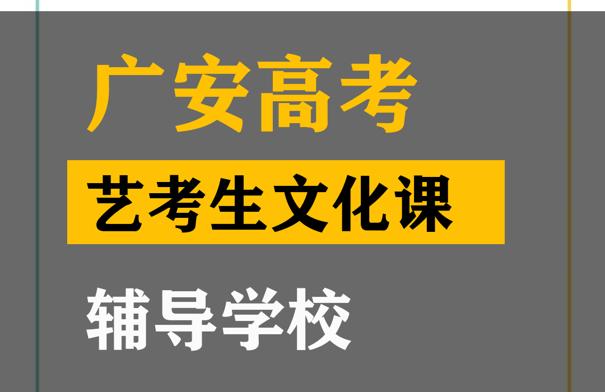 广汉市艺考生文化课辅导学校,高考文化课提分班