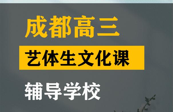 成都艺体生文化课辅导学校,高中文化课辅导学校