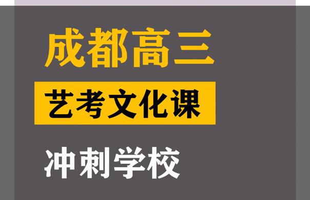 成都成华区表演生文化课培训班,高三文化课冲刺班