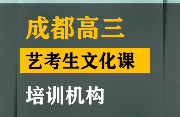 成都武侯区美术生文化课补习中心,高三艺考生文化课培训班