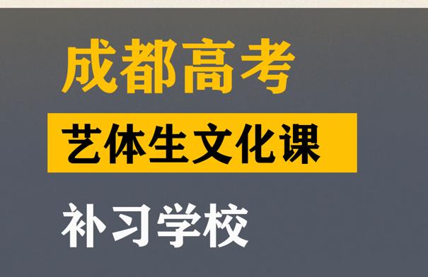 成都成华区传媒生文化课补习学校,高三文化课培训班