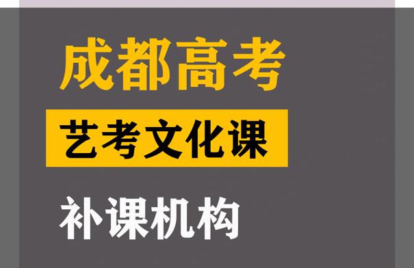 成都美术生文化课补习班,高考艺考文化课提分机构