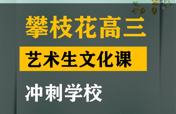 攀枝花传媒生文化课辅导学校,高三艺术生文化课冲刺班