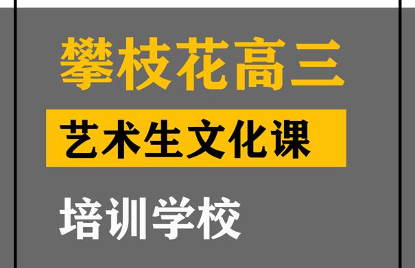 攀枝花美术生文化课补习机构,高中艺术生文化课培训学校