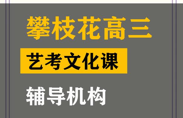 攀枝花体育生文化课补习学校,高考艺考文化课辅导机构