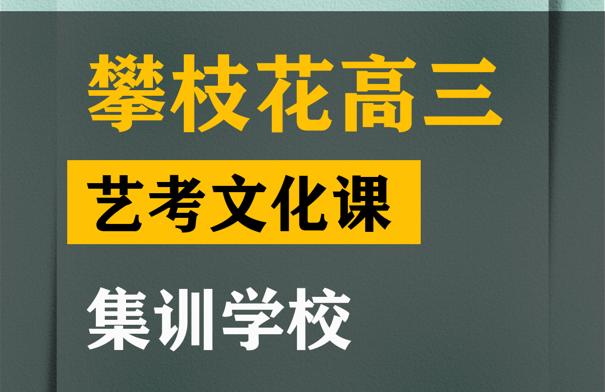 攀枝花艺体生文化课集训学校,高三艺考文化课集训学校