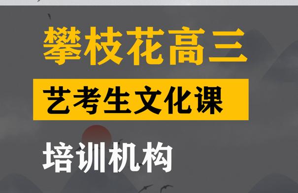 攀枝花艺考生文化课培训哪家好,高考艺考文化课提分机构