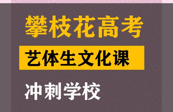 攀枝花艺体生文化课冲刺学校,高三艺考文化课提分班