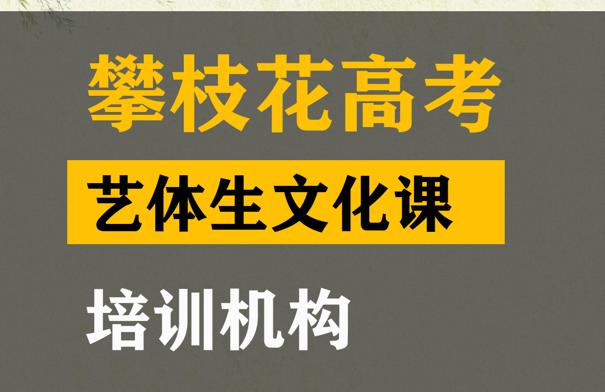 攀枝花艺体生文化课培训机构,高中艺考文化课补习班