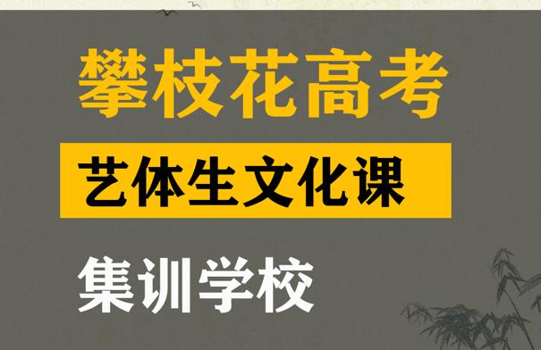 攀枝花艺体生文化课集训班,高三文化课冲刺班