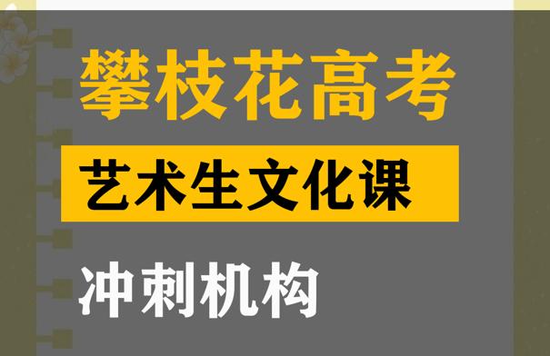 攀枝花艺术生文化课集训班,高考文化课冲刺机构