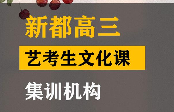 成都武侯区美术生文化课补课班,高三艺考生文化课集训机构