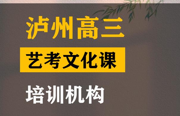 泸州艺术生文化课辅导哪家好,高三艺考文化课培训班