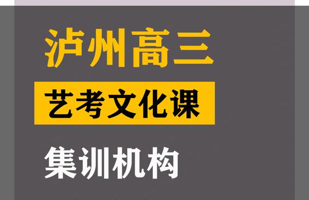 泸州艺体生文化课集训机构,高三艺考生文化课集训机构