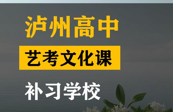 泸州美术生文化课集训怎么收费,高考文化课补习学校