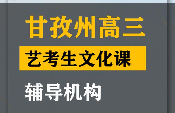 甘孜艺考生文化课集训哪家好,高三艺考生文化课辅导班