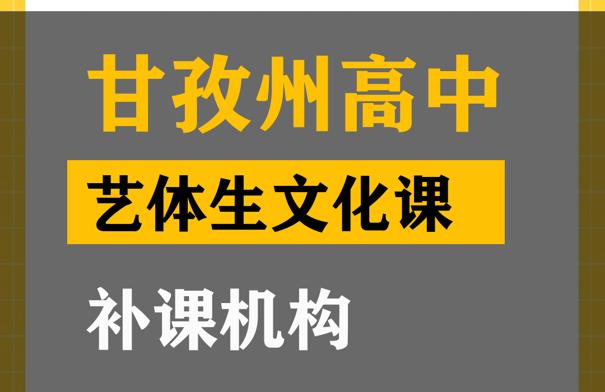 甘孜艺考生文化课培训机构,高中艺术生文化课补课机构