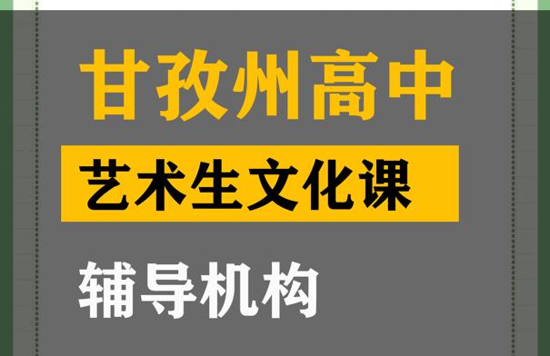 甘孜音乐生文化课培训哪家好,高中文化课辅导机构